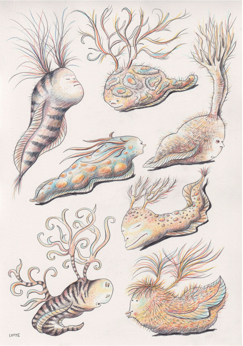 Nudibranchs - personal work, pencil / crayon